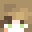 syncronized Minecraft avatar