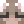tincus