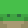 turtle_master222