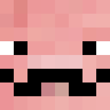 varken_met_snor