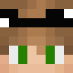 Skin de villa