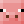 walking_hog