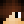 willywizard