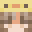 yellowduck255 Minecraft avatar