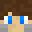 zalmpjee Minecraft avatar