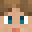 zisqua Minecraft avatar