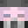 znopp Minecraft avatar