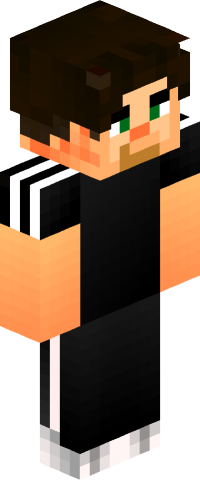 Artoize's skin