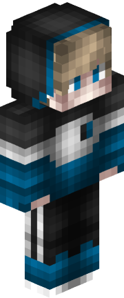 Player skin