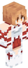 1199a6ac2c04ef00e93c98a842e05b65d20dd23a03a0e4773e68b21990df89ba Minecraft skin