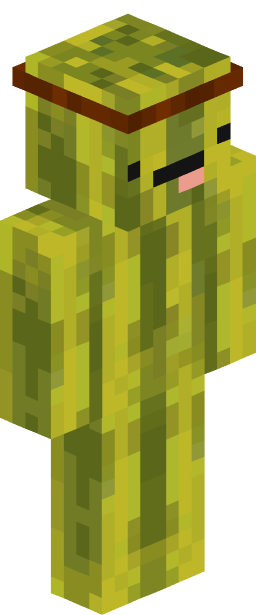 Daan Minecraft skin full body