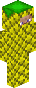 11d7d69d3a35fedfb1bae69969b6904eaf7248f347814fc55decbf4094df082d Minecraft skin