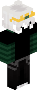 1366cb316fa5abb0961f4d3cded6cfe50b7fc516193c39e004bd7770e8090e5f Minecraft skin