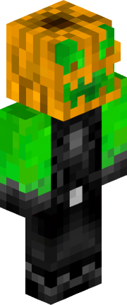 Player skin