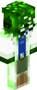 13f3565d880bfb58ab2396275ab335bb0b9a80c8a8d417eced6a4c05ba84cae0 Minecraft skin