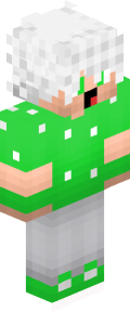 Minecraft Skin