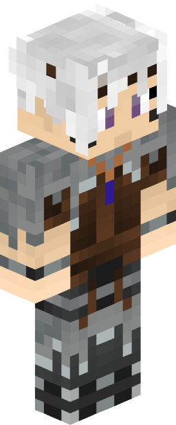 Seagull Minecraft skin full body