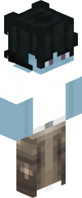 1a6f1e031f8a81fa46ea7a546de7843d9c93ef7ab2702e8b76e651509b297213 Minecraft skin