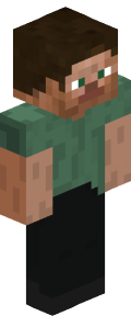1d1827b9a770727c24004125dff84eba0228a52b0290ad01b2710a67b4792d1 Minecraft skin