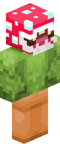 1fac3b7167aa6c18dca8f846071ef8e43e98fe7c6019cf12afd61c13d910a334 Minecraft skin