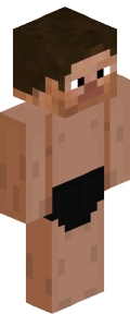 1fbdfd9de94a8f53acb139c01e2c79fa08b71672baf021aaeac3883023959238 Minecraft skin