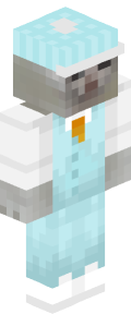 20032571f5c3beedd215216be9e74a1b95be2a3e443fb38eb082989b8b8d88ac Minecraft skin