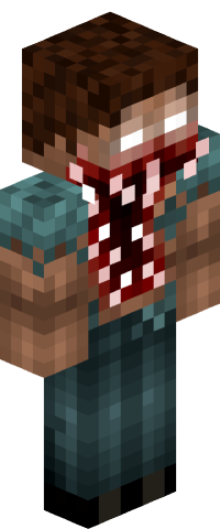 TheKoraCraft's skin