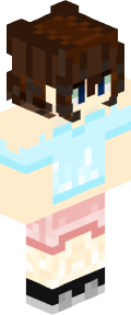 2248fee00a60007e31017e25b554acb012cf67eec9f58be51b5319628c951833 Minecraft skin