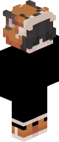 2344edaf754c143fd847b15a37f283b437a9adbf229c1d62764c99f857076857 Minecraft skin