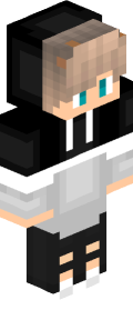 Silver Robot Minecraft Skin