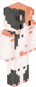 24b7f7fd7dd5b8f0368a3788d91826e78d2b1aba48b2a1d159f6712b7cd99886 Minecraft skin