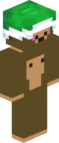266a084b6f25fb979744845b26b688012c16c400e76099f147c5b20b84bc959c Minecraft skin
