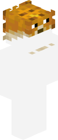276f76d49c6536aa14a79810d0e72a8c9cfccdf00dc4c0638330a449de677e3 Minecraft skin