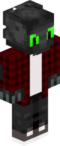 2b22a21e77daedd04f4a7eee8814dca48450ddf2873de4ae259bcb51beae98ac Minecraft skin