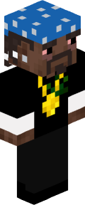 2b5dab0a91c856efc549c62a44d52fd3bfc568c5e5295ac12580e709521ecc5b Minecraft skin