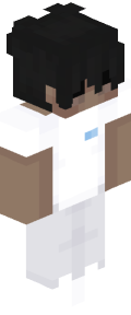 2bdd198fd9169169744eb59521cda8abae134dd4644aa9afc3887ba07f46f225 Minecraft skin