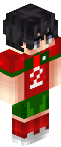 2d1c40e7eb9802c9847878b28eb9631051a03753a32b49227c086d48c7cc28aa Minecraft skin