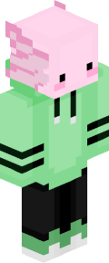 2e22769e45fb04db70a1aac28eedab0a1ba0123a39081ad66adac11bd49c560e Minecraft skin