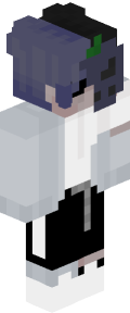 2f546794c2e455fa4ba7a99708c138e3e212669932c03f97bff81d0fdd31177d Minecraft skin