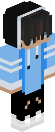 Player skin