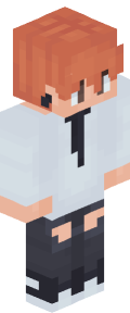 3052186175d6958f758011c2c7c0fd87fd239238758a90b1238af6dd668ad3a7 Minecraft skin