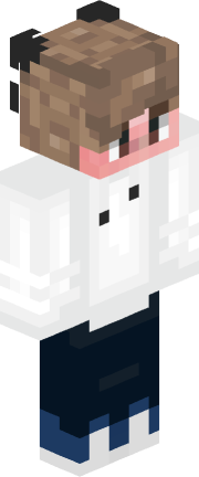 Player skin