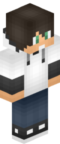 Silver Robot Minecraft Skin