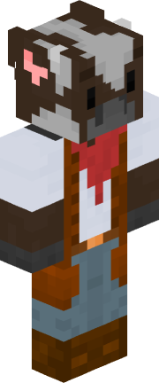 Player skin