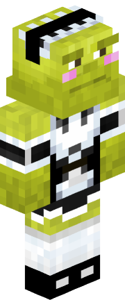 Player skin