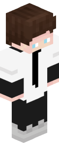 3e31495dd2318903b7df2c1e33ae5b53a974041769d5961abaac3255e7f03bcf Minecraft skin