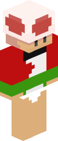 4111450c5619c72c117ed7c25fa43da3d28d80dc864d739ff2ff0c03d8c5f46 Minecraft skin