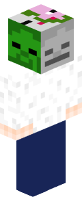 42968b36a23e6415bf2326adcc291d7b0d990314f35edaa2e431460990848964 Minecraft skin