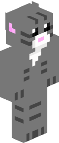 4420d611cf5cb9c1684846d790e5486fcf96dcd93f493c7a4656eac225f08a81 Minecraft skin