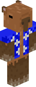 Brown Medieval Minecraft Skin